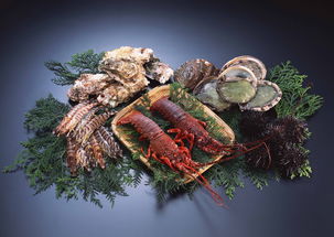 海鲜鱼虾蟹餐饮海产美食贝壳海鱼类图片素材 模板下载 2.94MB 其他大全 标志丨符号