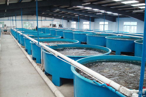 us5 200工厂化水产养殖室内水循环系统